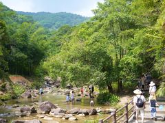 -广州白江湖森林公园