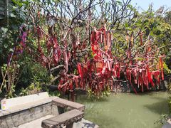 -小洲村