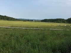 -塞罕坝国家级自然保护区