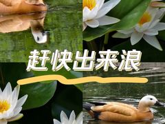 -陶然亭公园