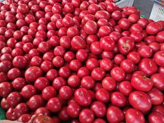 -南坛综合农贸市场