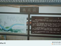 -桃花堤公园