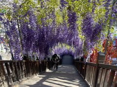 -沕沕水生态风景区