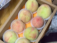 -老袁家蜜桃农场·阳山水蜜桃