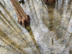 -桤木河湿地公园