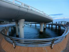 -演武大桥观景平台