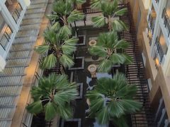 -三亚海棠湾万丽度假酒店