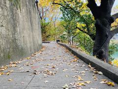 -溪口-滕头旅游景区