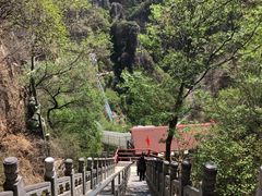 -藏山旅游风景区