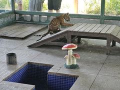 -秦皇岛野生动物园