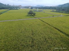 -艾米稻香小镇