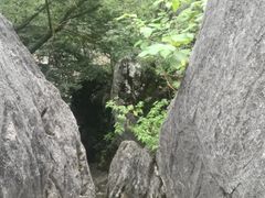 -千岛湖石林