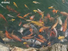 -江门古兜温泉小镇