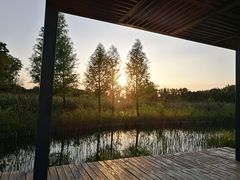 -昆山城市生态森林公园