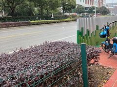 -阿伟1号饭堂(富华科技大厦店)