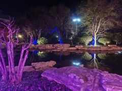 -青岛鑫江温德姆酒店