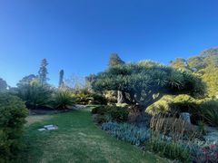 -墨尔本皇家植物园