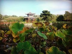 -黑龙江省森林植物园