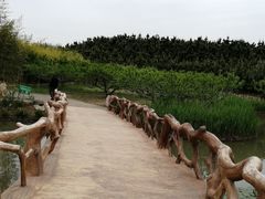 -兰陵国家农业公园