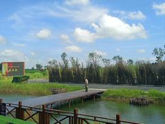 -泗洪洪泽湖湿地景区