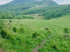 -白草畔自然风景区