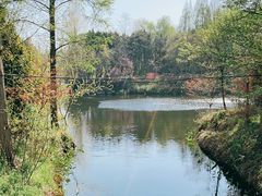 -东平国家森林公园