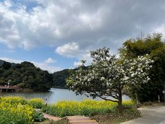 -广州市石门国家森林公园