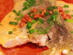 豆豉清蒸大黄鱼-维园悦谱·海派家常菜(乌鲁木齐南路店)