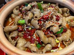 川味肥肠煲-兔槽江湖菜·重庆璧山兔(水围店)