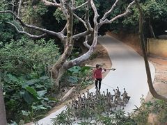 -黄埔油麻山森林公园