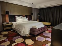 -南京禄口机场雅高铂尔曼大酒店