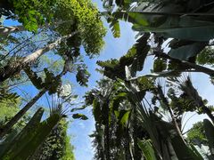 -中国科学院西双版纳热带植物园