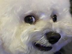 -杨永兴黄陂三鲜(雪松路店)