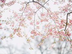 -上海植物园-4号门售票处