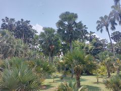 -中国科学院西双版纳热带植物园
