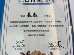 -达爱动物医院·犬猫分区·CT·复杂眼科(远洋山水分院)
