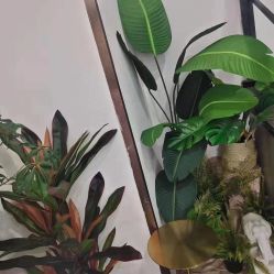 -汐月Health纤体spa中心