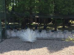 -南京金牛湖风景区