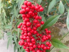 -网易（杭州）网络有限公司