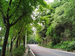-南山植物园