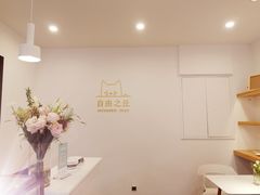 店内布置-浮光之丘MontCake生日蛋糕(花牌坊店)