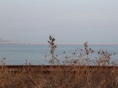景点-海堤纪念公园
