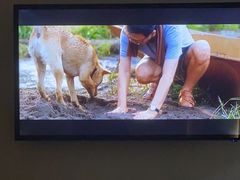 -水秀坊·足道 SPA 按摩(巨鹿路店)