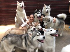 -TrueLove @ Neverland (Husky Cafe)