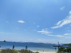 -蔚蓝阁餐厅·Brunch·牛排·威士忌·红酒