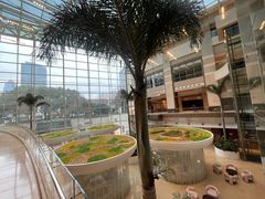 -上海外滩茂悦大酒店