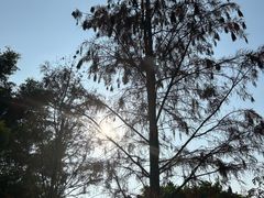 -广东花都湖国家湿地公园