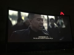 -枫花园汽车电影院(朝阳公园店)