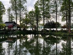 -西溪国家湿地公园