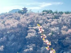 -白水寺森林公园